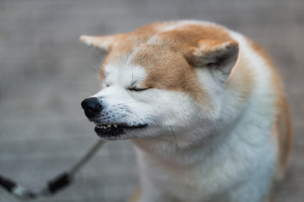 匂い