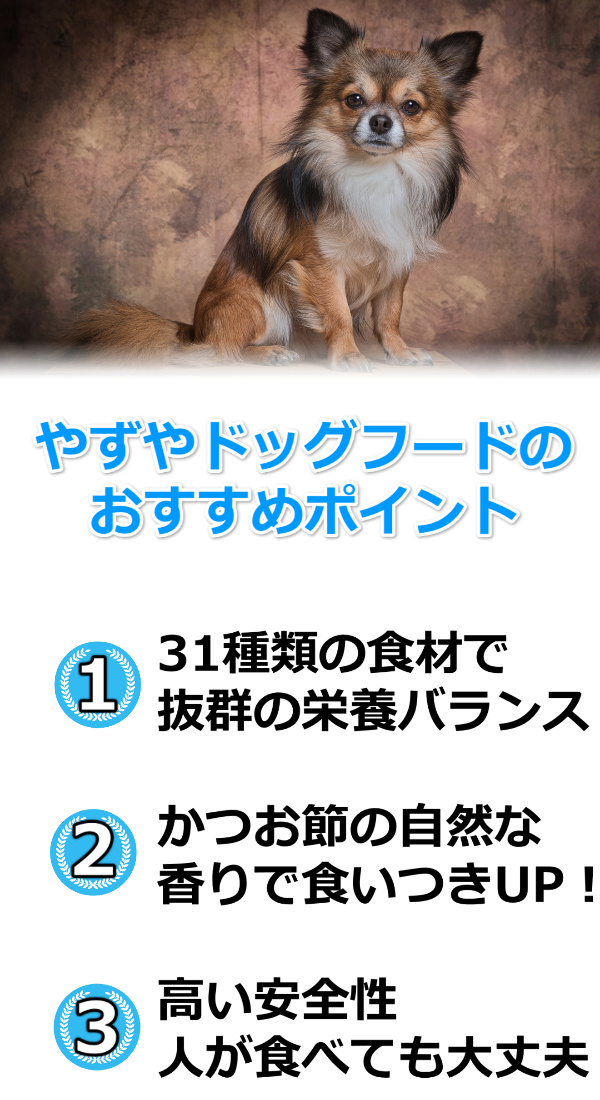 やずやドッグフードおすすめ