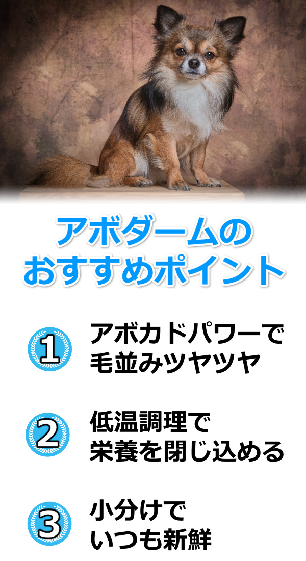 アボダームおすすめ
