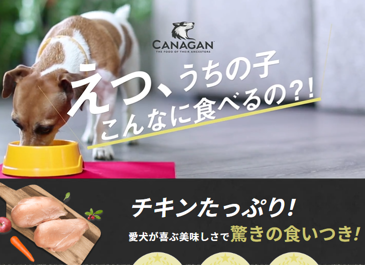 カナガン２