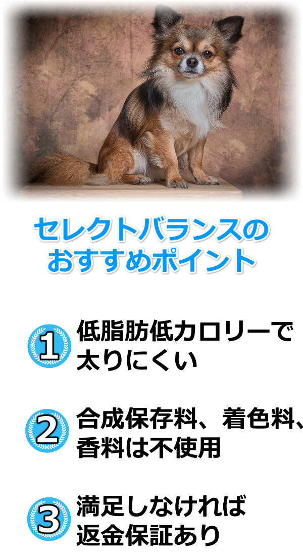 セレクトバランスおすすめ