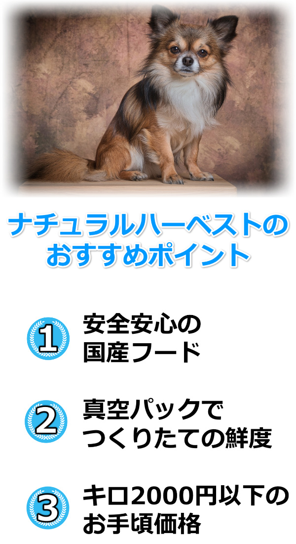 ナチュラルハーベストおすすめ