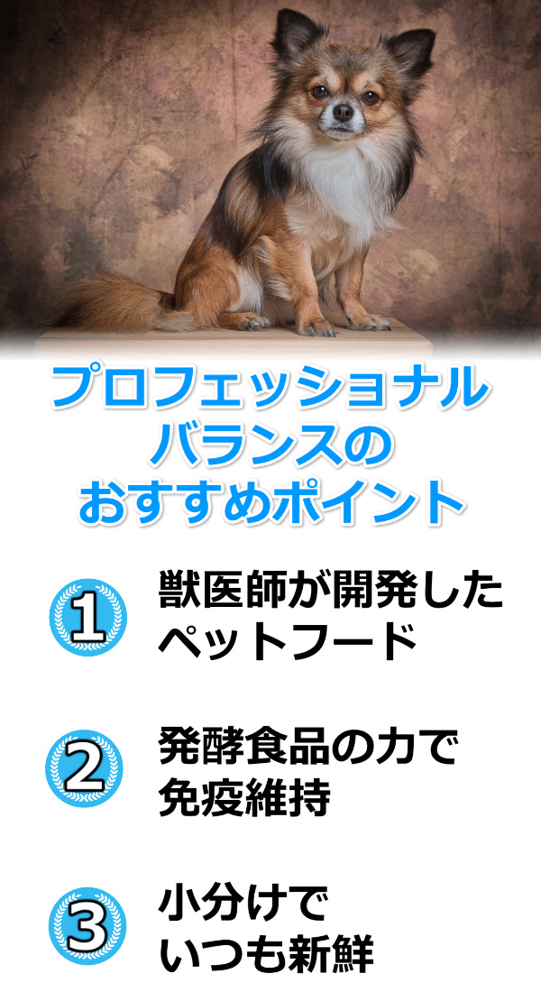 プロフェッショナルバランスおすすめ