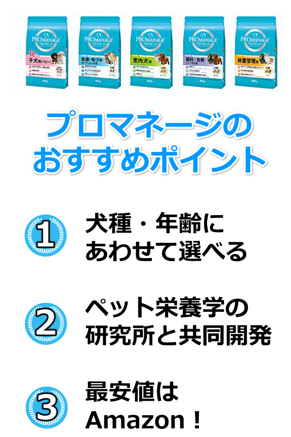 プロマネージおすすめ