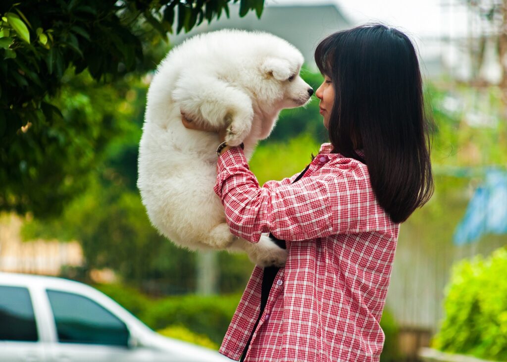 子犬