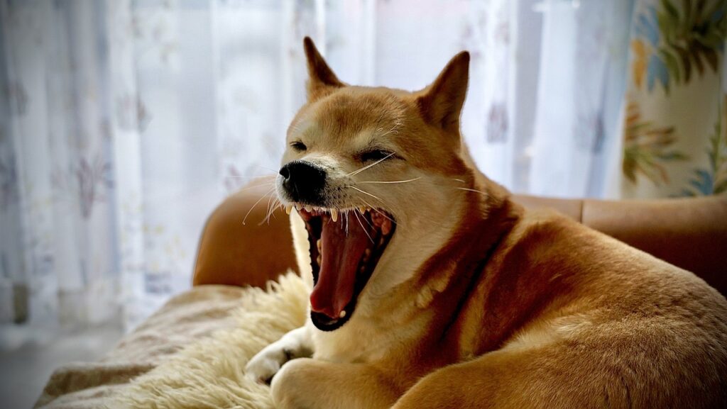 口臭