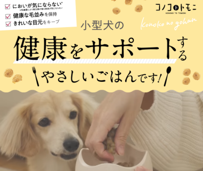 このこのごはん