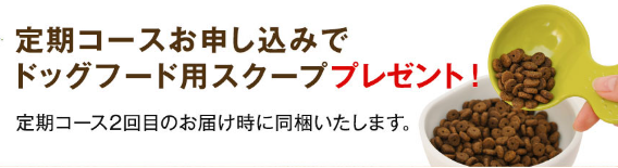 スクープ