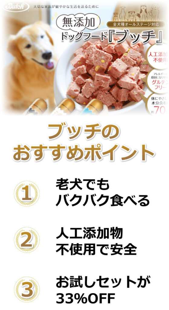 ブッチおすすめ