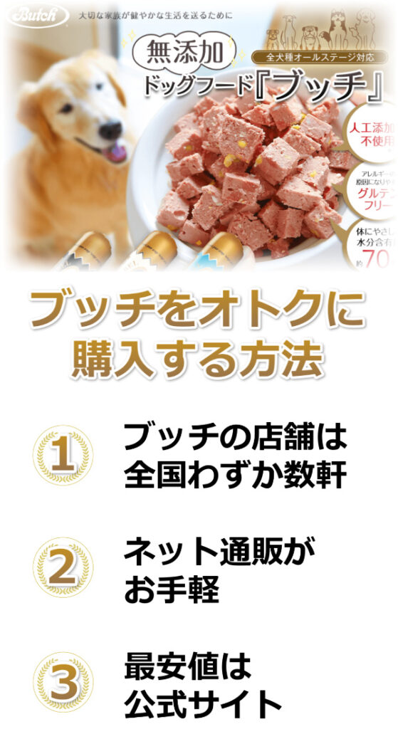 ブッチ販売店