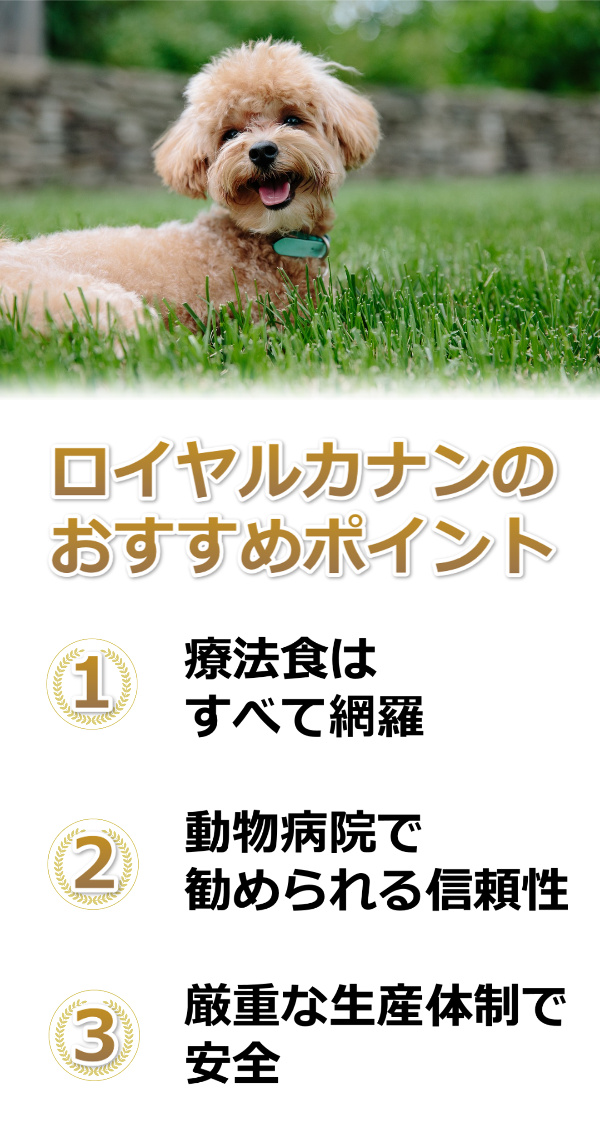 ロイヤルカナンおすすめ