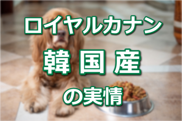ロイヤルカナン韓国
