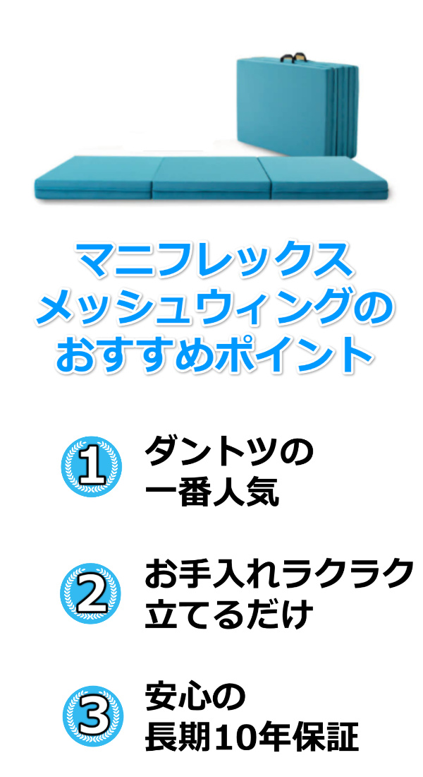 マニフレックス メッシュウィング/マットレスのシングルで10年