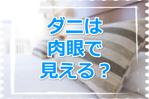 ダニは肉眼で見える？